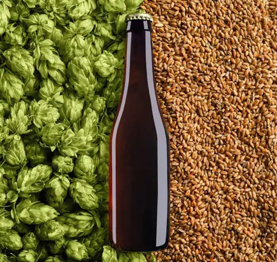 Mini biervat, roestvrijstalen biervat met wijnspeer voor thuiskeuken bier brouwen, voor kamperen wandelen thuisbrouwen drank vers houden,5l s type wine spear